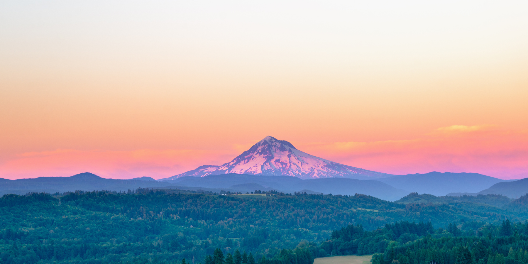 Call for Applications! Digital Marketing and Financial Support for 1% for the Planet Environmental Partners