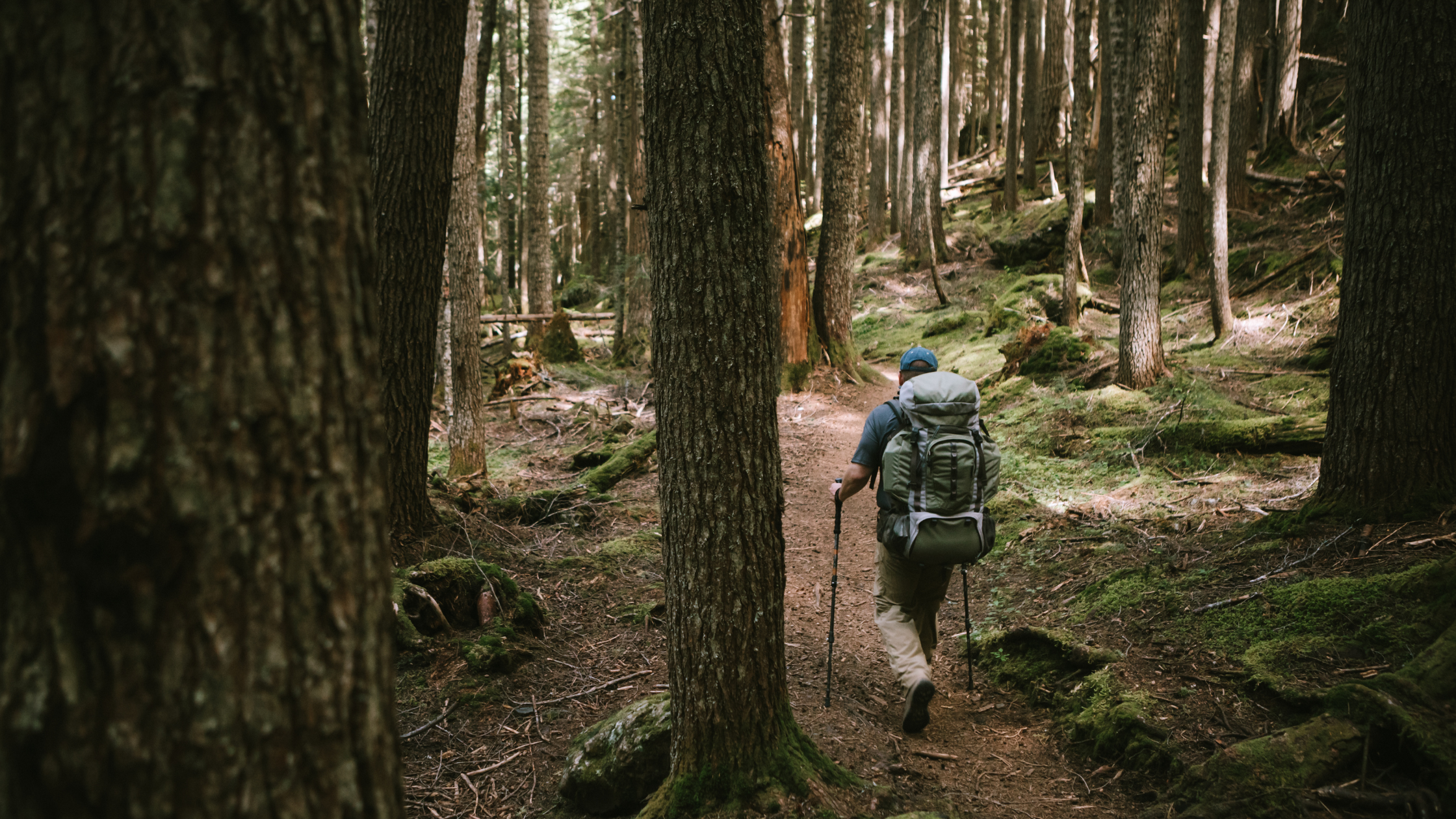 Person backpacking through the woods