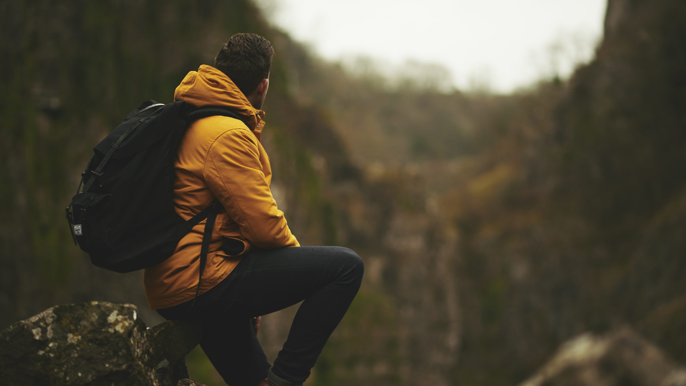 Person overlooking a vista