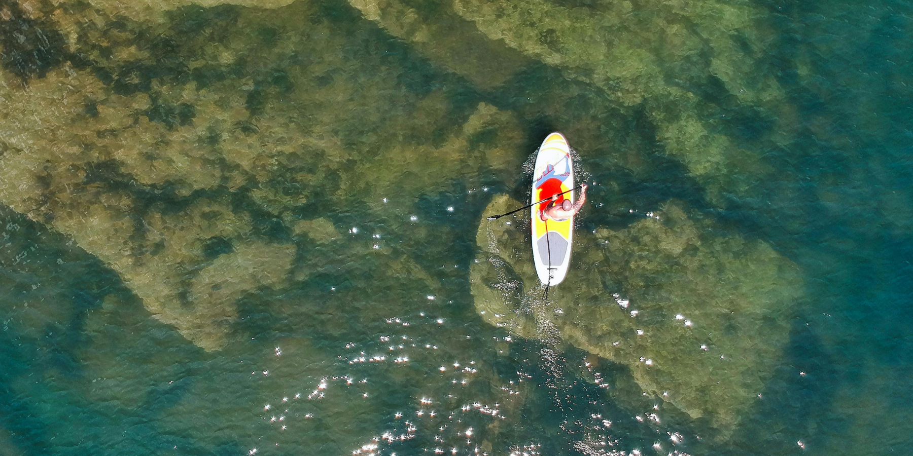 Paddleboarder