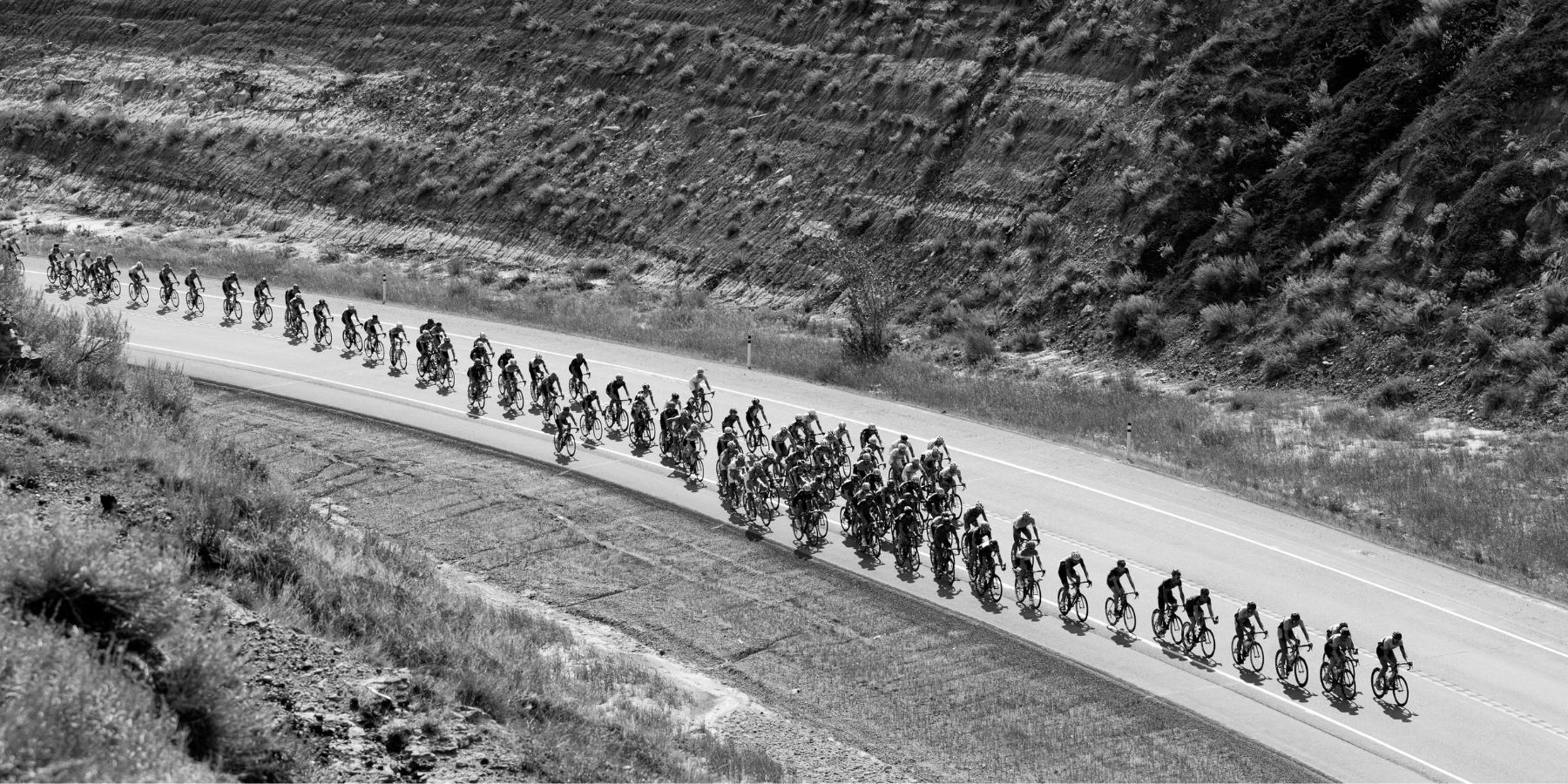 Road cyclists