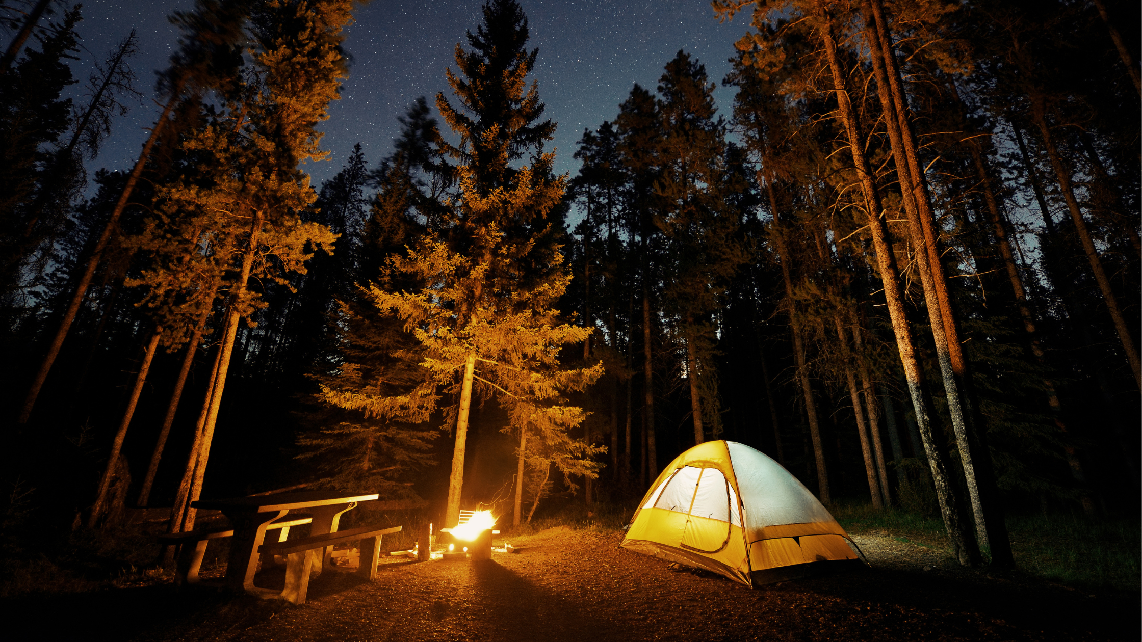 Tent at night under trees