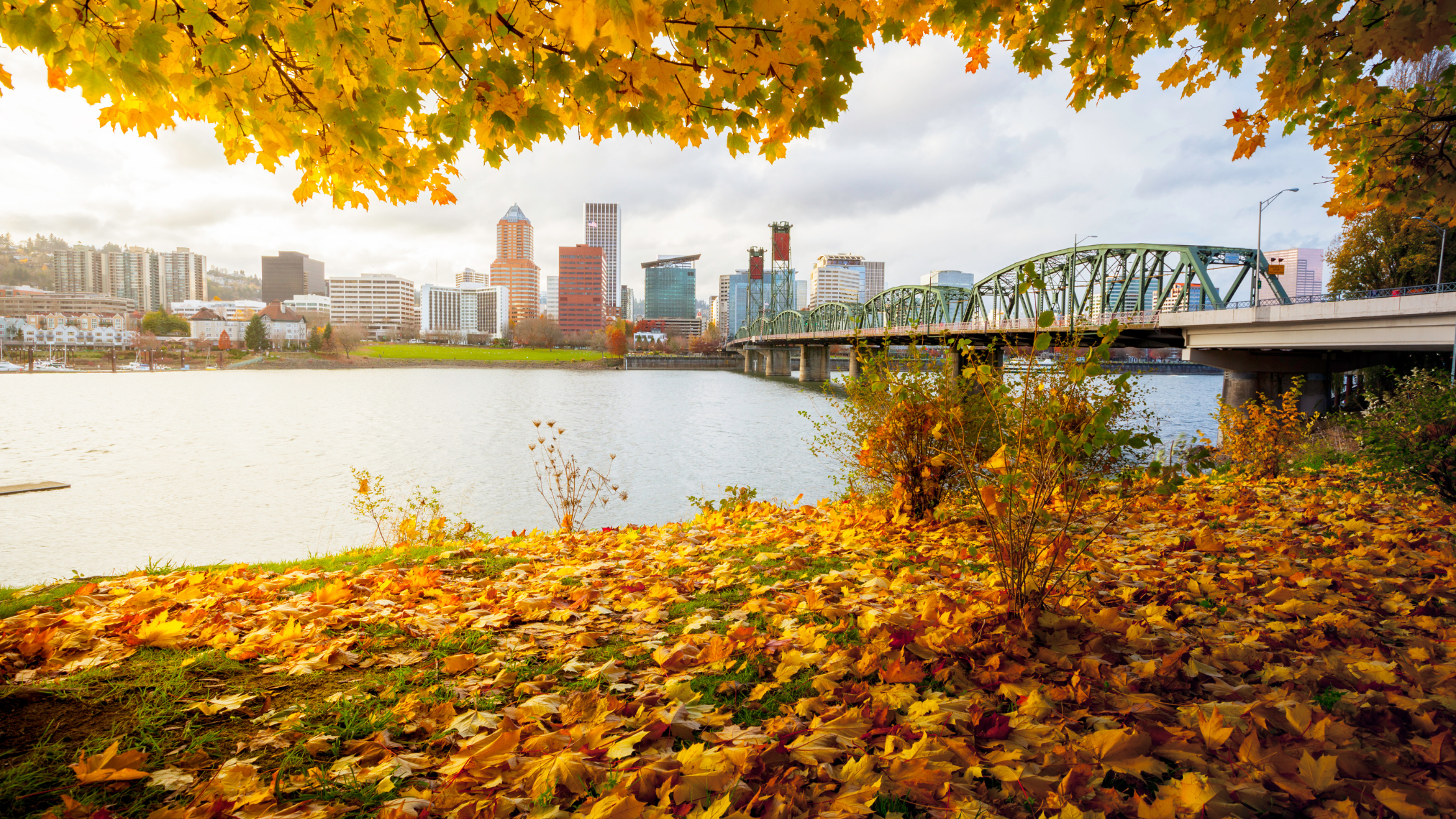 Portland skyline