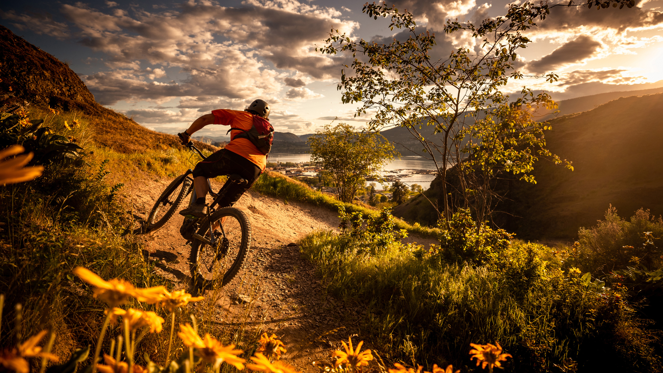 Person mountain biking