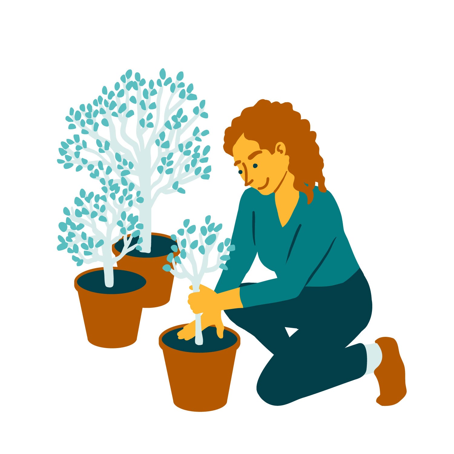 Illustration of a woman planting a small tree in a pot with more fully grown potted trees in the background