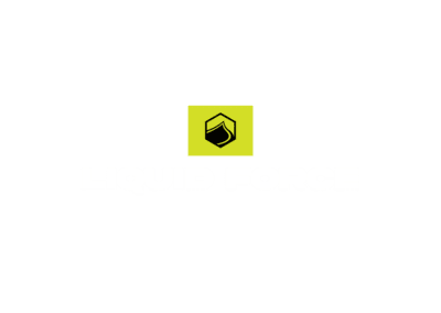 Liquid Force | Foghorn Labs